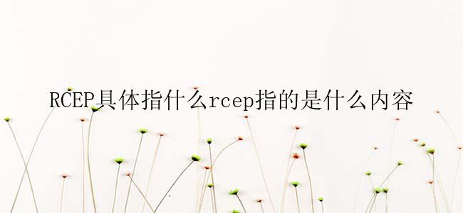 RCEP具体指什么rcep指的是什么内容