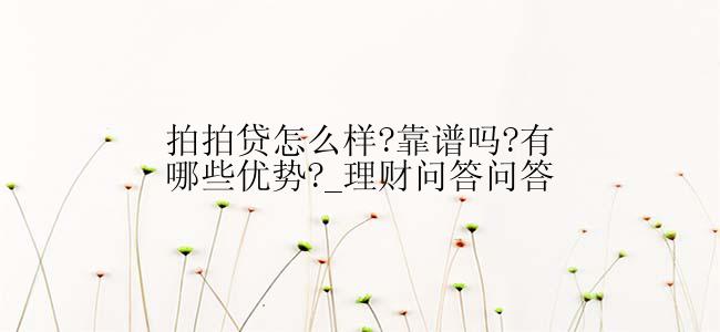 拍拍贷怎么样?靠谱吗?有哪些优势?_理财问答问答