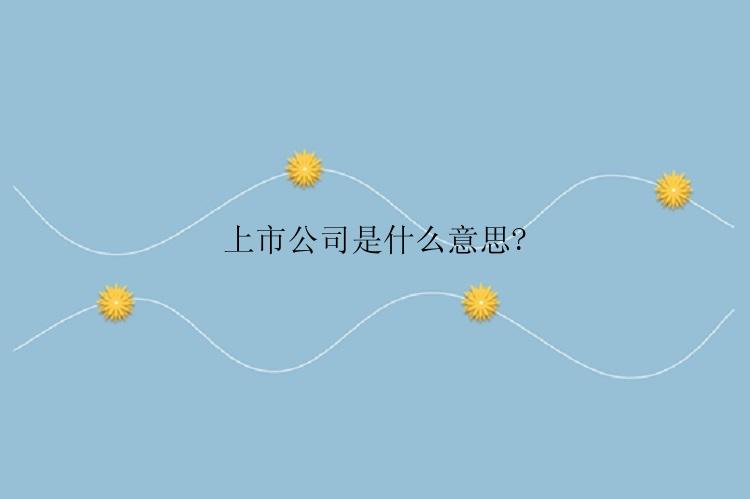 上市公司是什么意思?