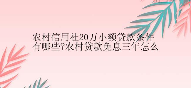 农村信用社20万小额贷款条件有哪些?农村贷款免息三年怎么