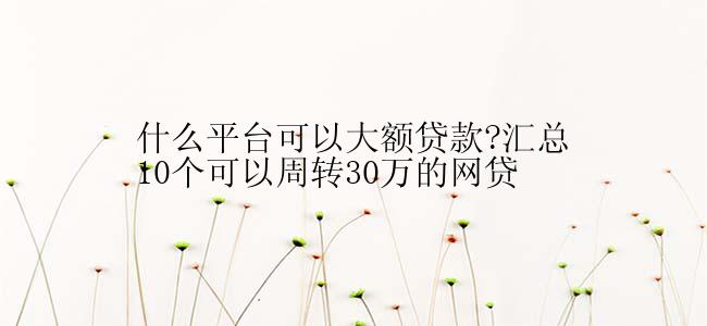 什么平台可以大额贷款?汇总10个可以周转30万的网贷