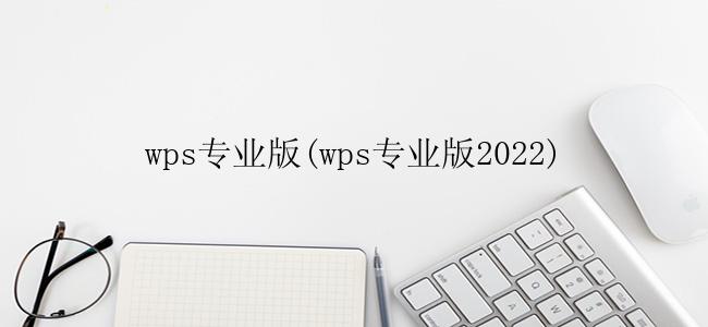wps专业版(wps专业版2022)