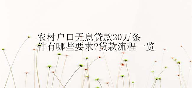 农村户口无息贷款20万条件有哪些要求?贷款流程一览