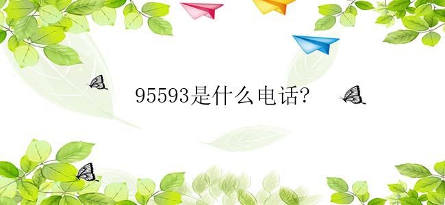 95593是什么电话?