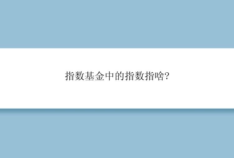 指数基金中的指数指啥?