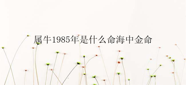 属牛1985年是什么命海中金命