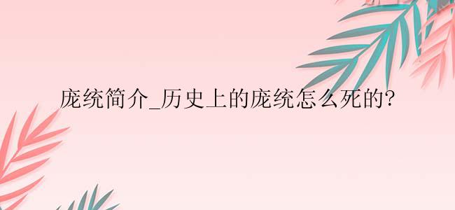 庞统简介_历史上的庞统怎么死的?