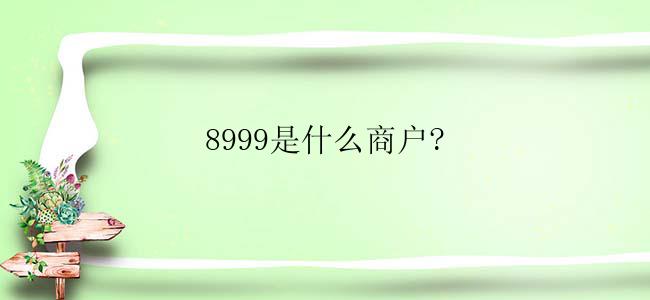 8999是什么商户?