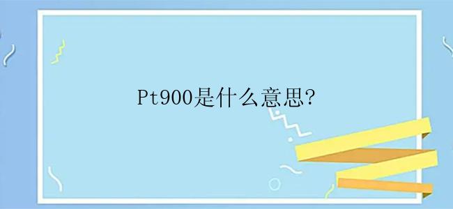 Pt900是什么意思?