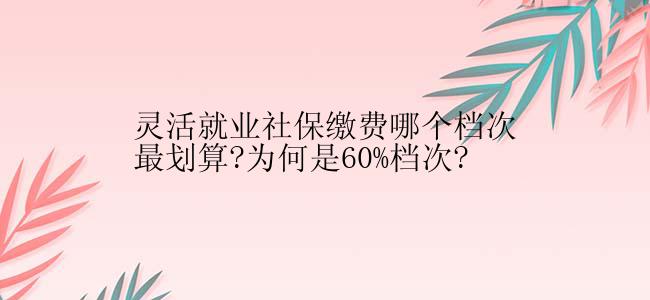 灵活就业社保缴费哪个档次最划算?为何是60%档次?