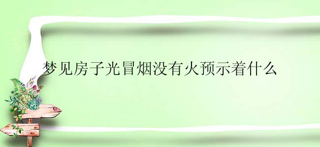 梦见房子光冒烟没有火预示着什么