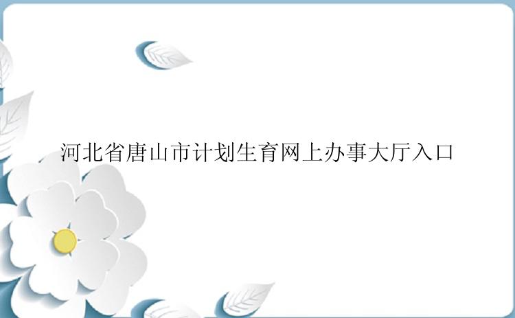 河北省唐山市计划生育网上办事大厅入口