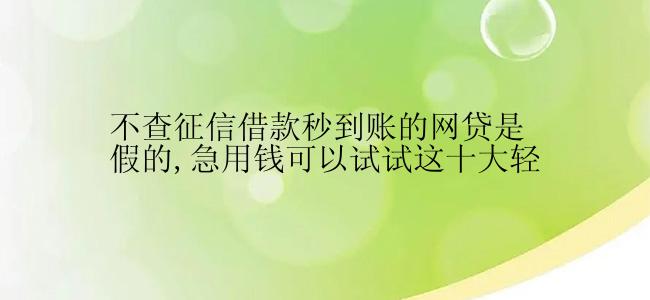 不查征信借款秒到账的网贷是假的,急用钱可以试试这十大轻