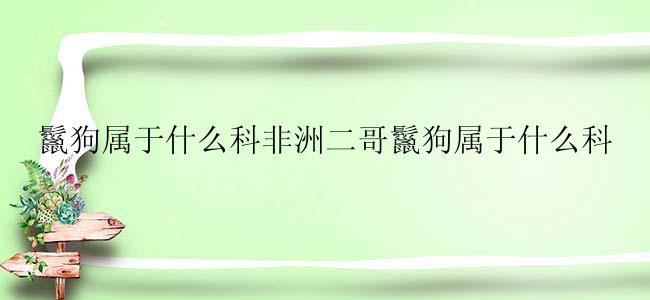 鬣狗属于什么科非洲二哥鬣狗属于什么科