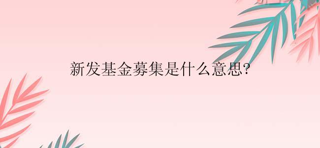 新发基金募集是什么意思?