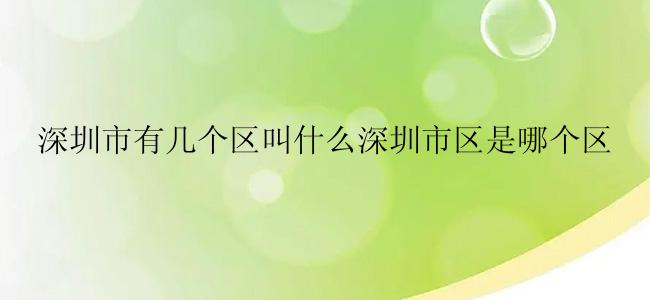 深圳市有几个区叫什么深圳市区是哪个区