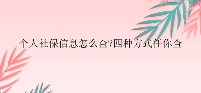 个人社保信息怎么查?四种方式任你查