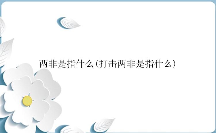 两非是指什么(打击两非是指什么)