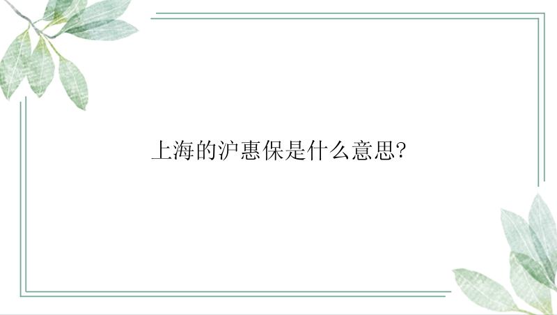 上海的沪惠保是什么意思?