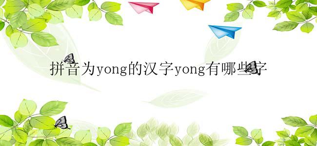 拼音为yong的汉字yong有哪些字