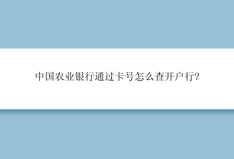 中国农业银行通过卡号怎么查开户行?