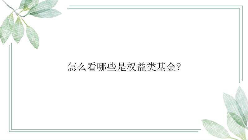 怎么看哪些是权益类基金?