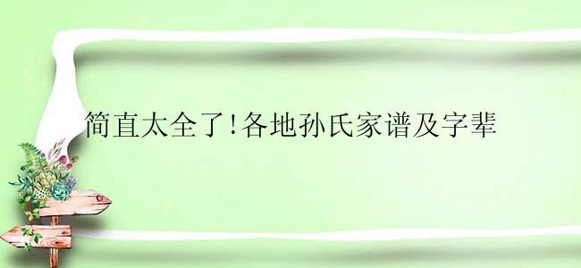 简直太全了!各地孙氏家谱及字辈