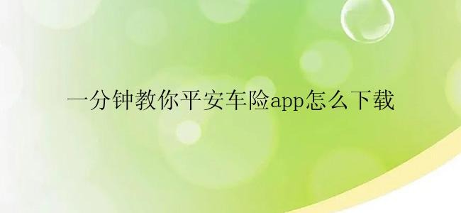 一分钟教你平安车险app怎么下载