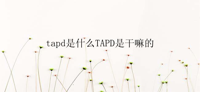 tapd是什么TAPD是干嘛的