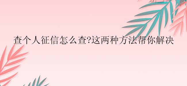 查个人征信怎么查?这两种方法帮你解决