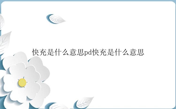 快充是什么意思pd快充是什么意思