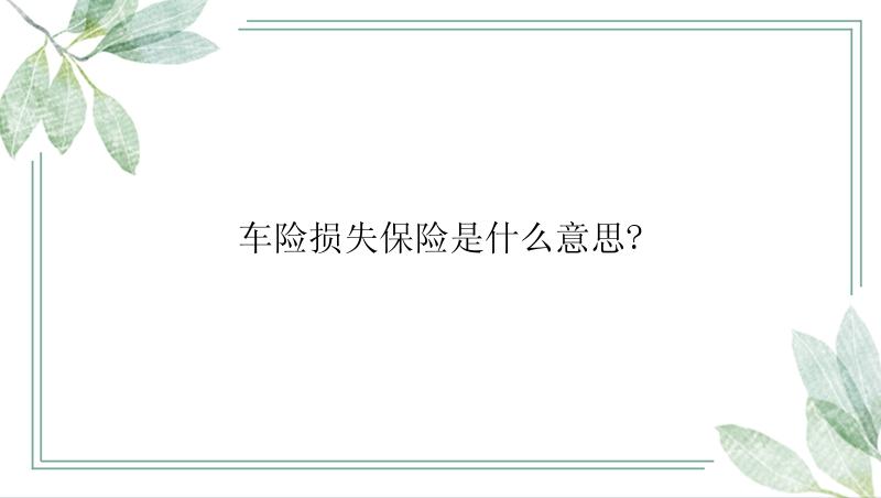 车险损失保险是什么意思?