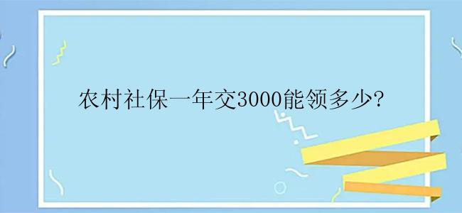 农村社保一年交3000能领多少?