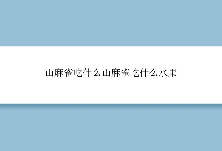 山麻雀吃什么山麻雀吃什么水果