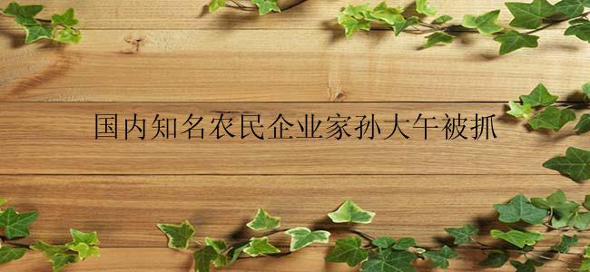 国内知名农民企业家孙大午被抓