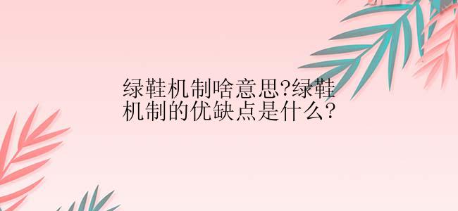 绿鞋机制啥意思?绿鞋机制的优缺点是什么?