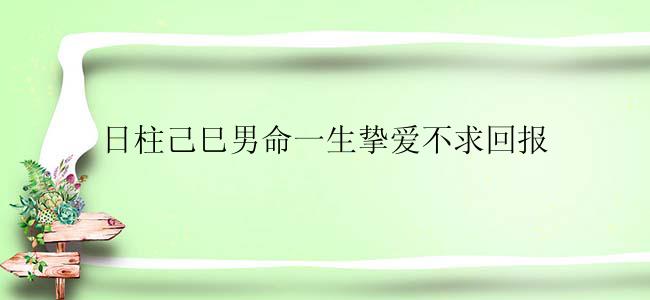 日柱己巳男命一生挚爱不求回报