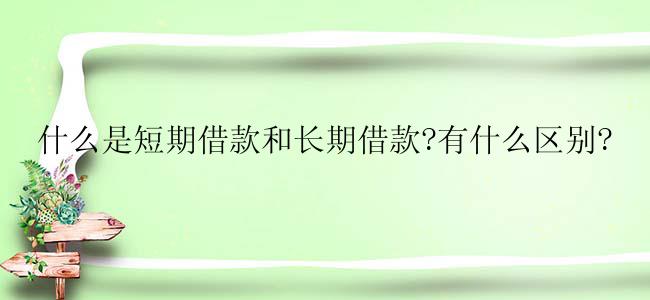 什么是短期借款和长期借款?有什么区别?