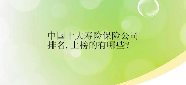 中国十大寿险保险公司排名,上榜的有哪些?