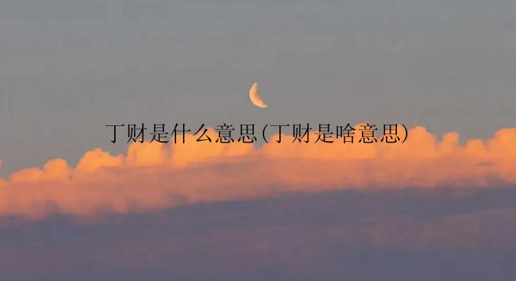 丁财是什么意思(丁财是啥意思)