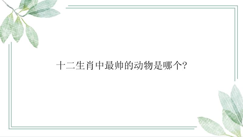 十二生肖中最帅的动物是哪个?