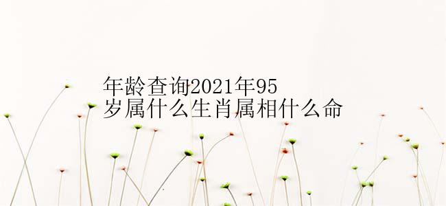 年龄查询2021年95岁属什么生肖属相什么命