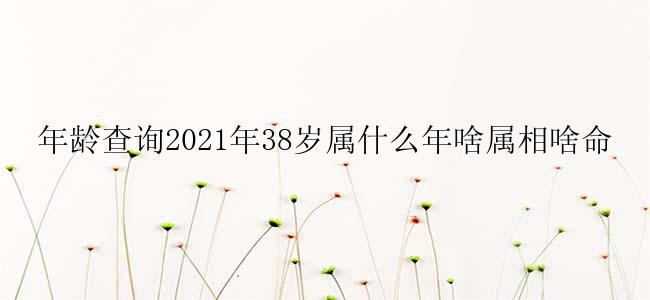 年龄查询2021年38岁属什么年啥属相啥命