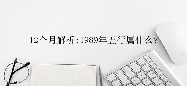 12个月解析:1989年五行属什么?