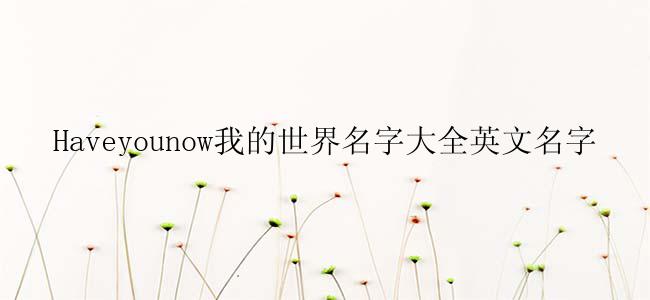 Haveyounow我的世界名字大全英文名字