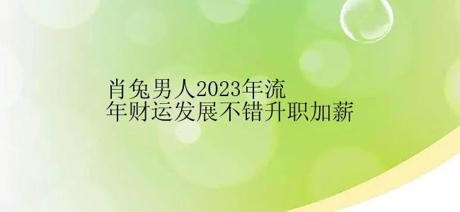 肖兔男人2023年流年财运发展不错升职加薪