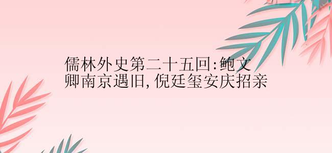 儒林外史第二十五回:鲍文卿南京遇旧,倪廷玺安庆招亲