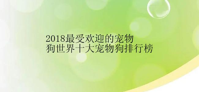 2018最受欢迎的宠物狗世界十大宠物狗排行榜