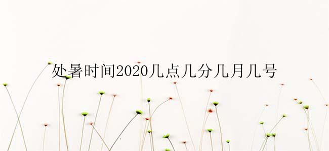 处暑时间2020几点几分几月几号