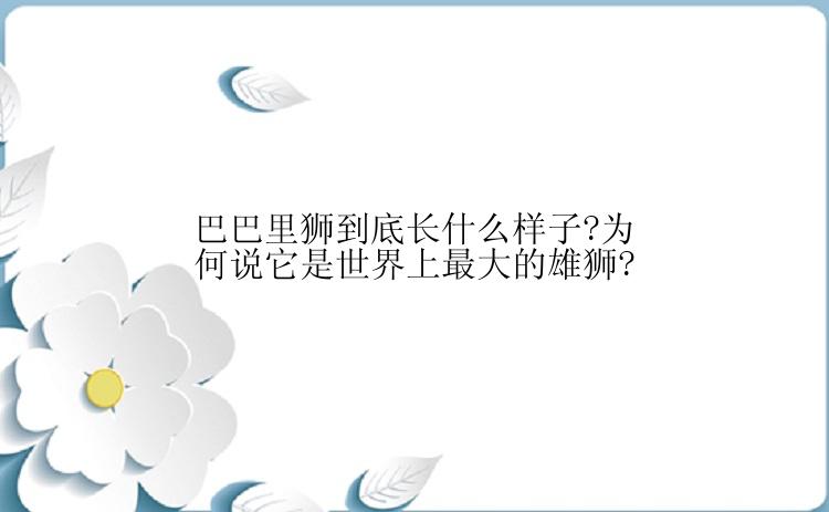 巴巴里狮到底长什么样子?为何说它是世界上最大的雄狮?